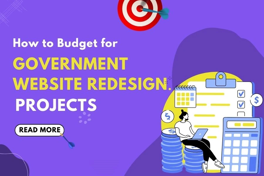 Government Website Redesign Budget Planning with Advanced Systemics